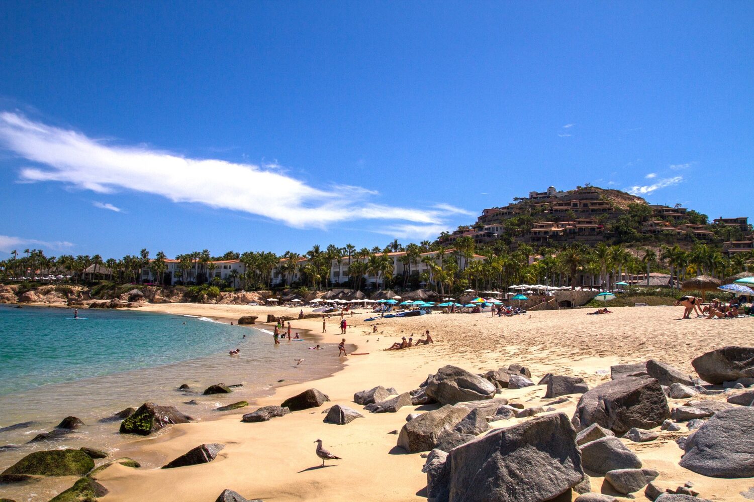 Palmilla Beach