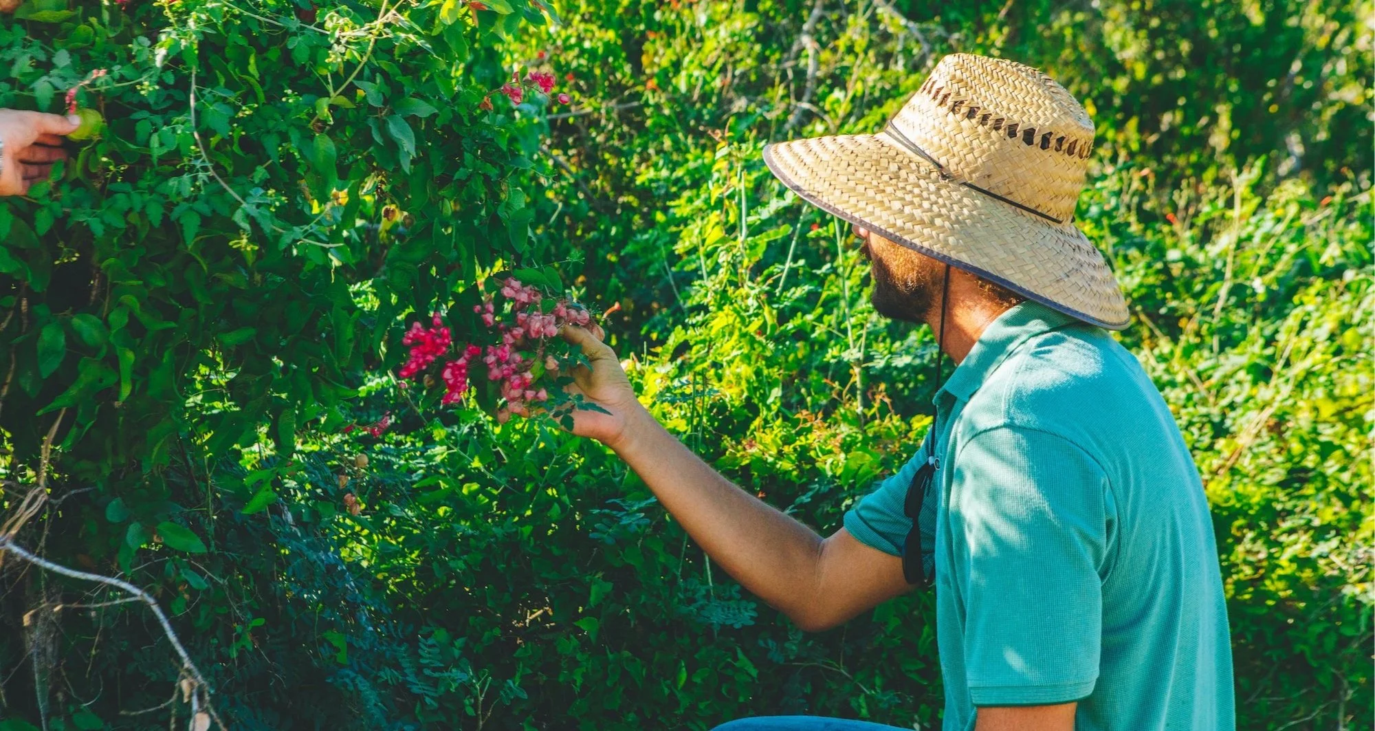 Walk with an herbalist — Flora Farms